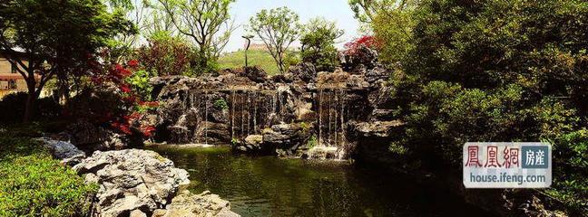 中凯凤凰，于曼荼园中展翅——探秘都市里的诗意栖居